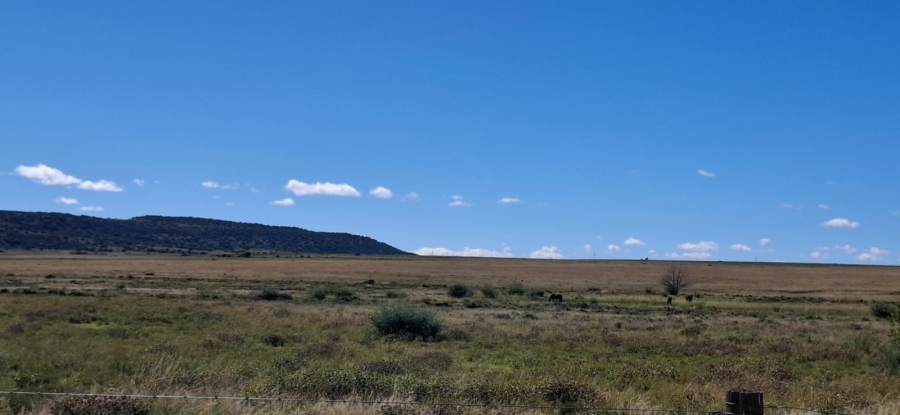 3 Bedroom Property for Sale in Bloemfontein Rural Free State